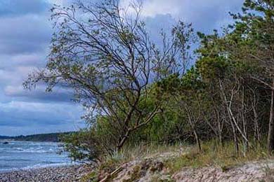 EDG推行“每日个体化训练计划”